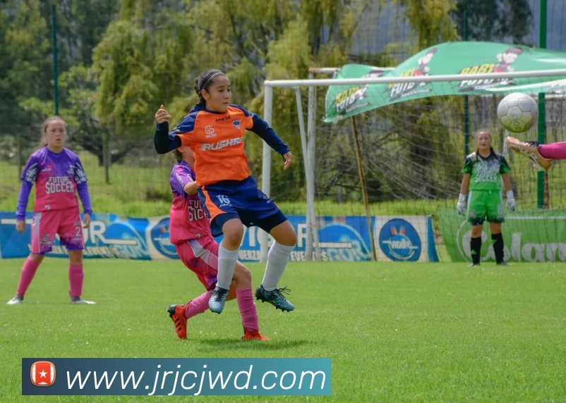 App Interface Preview